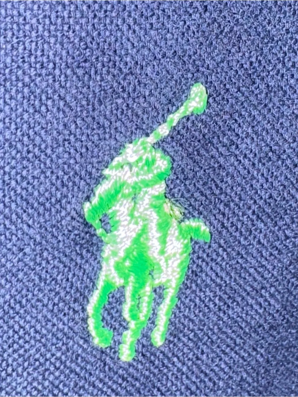 Polo by Ralph Lauren Navy Button-Down Shirt with Green Pony